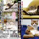 Image for article titled If Cats Watched Porn, I Guess They'd Watch This